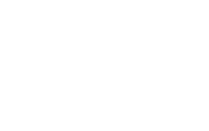 Lady Supreme Logo stacked white