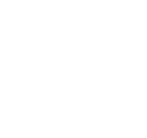 A Brothers Tribute logo final white