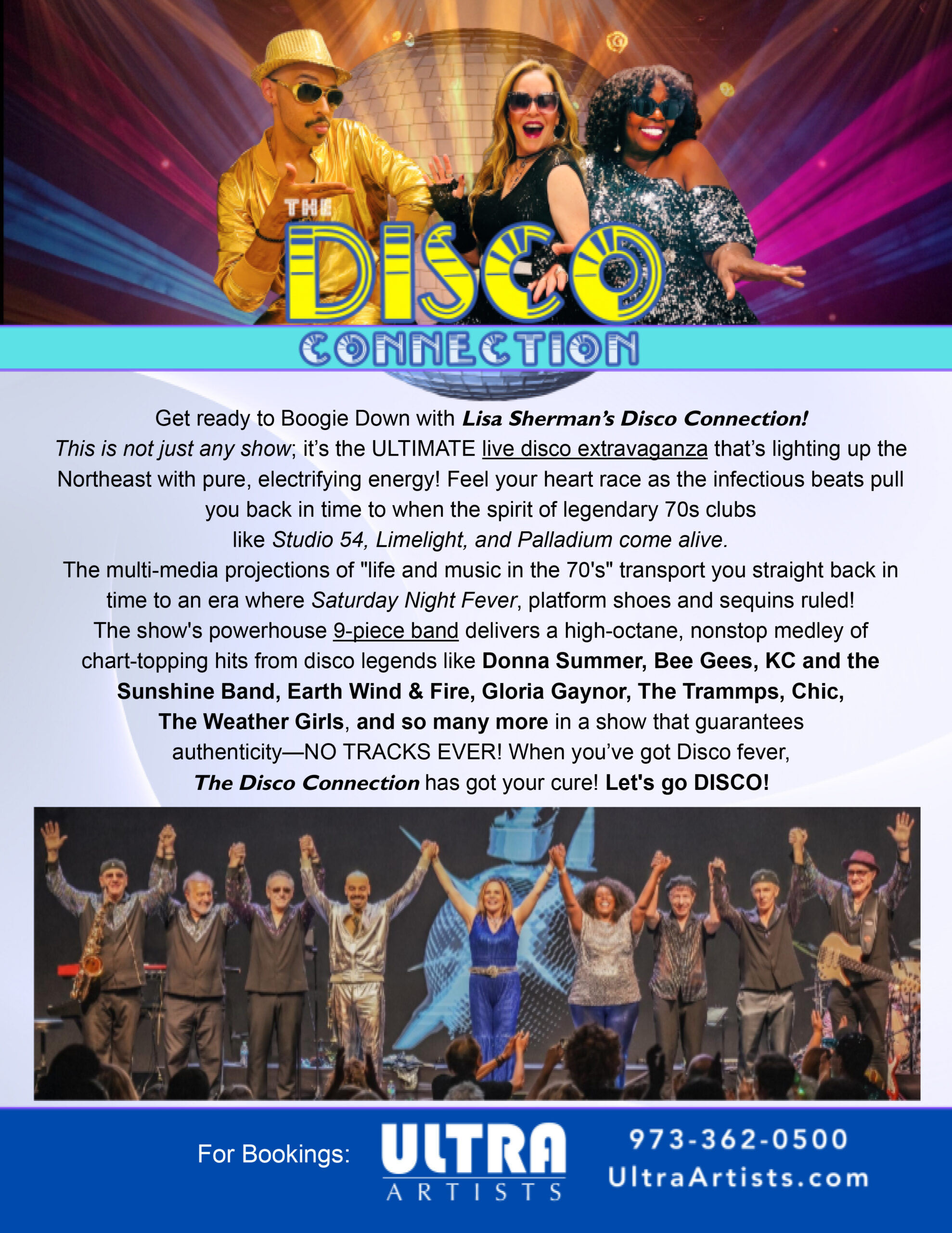Printable DISCO CONNECTION One Sheet 2026 WORD.docx